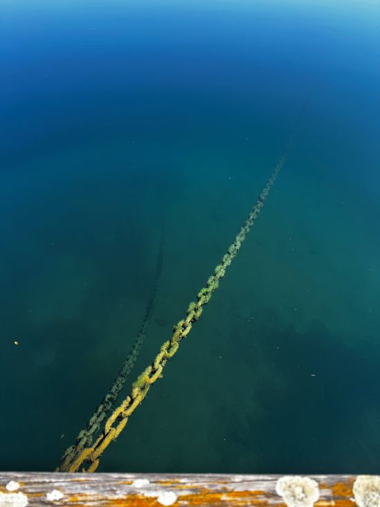 Das Unterbewusstsein